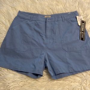 Brixton Shorts size 31” brand new with tag color beautiful blue inseam 4”